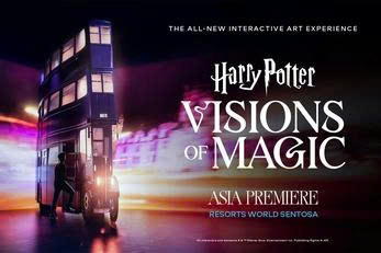 Harry Potter: Visions of Magic